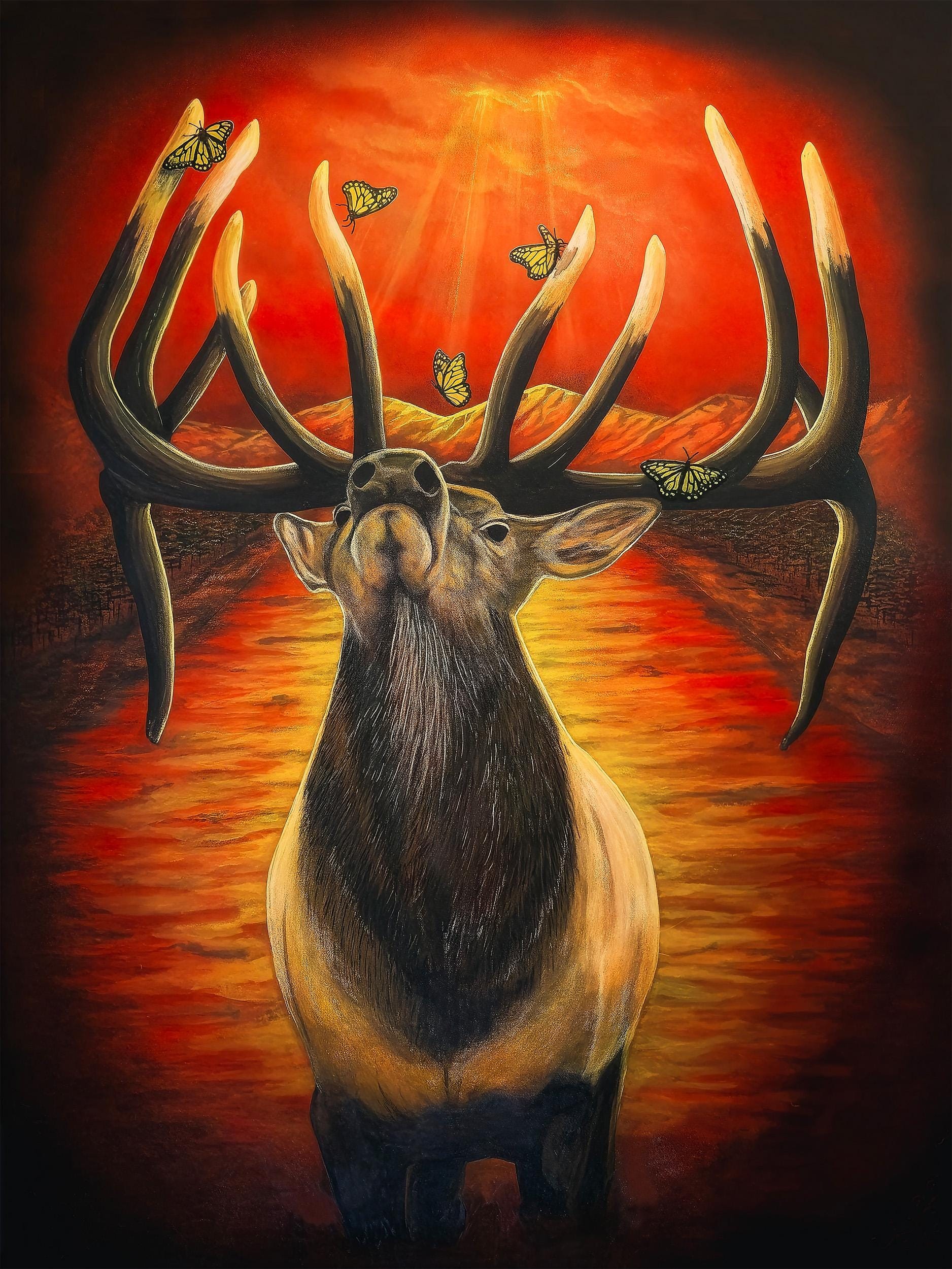 Whispers in the Wild, view 2
