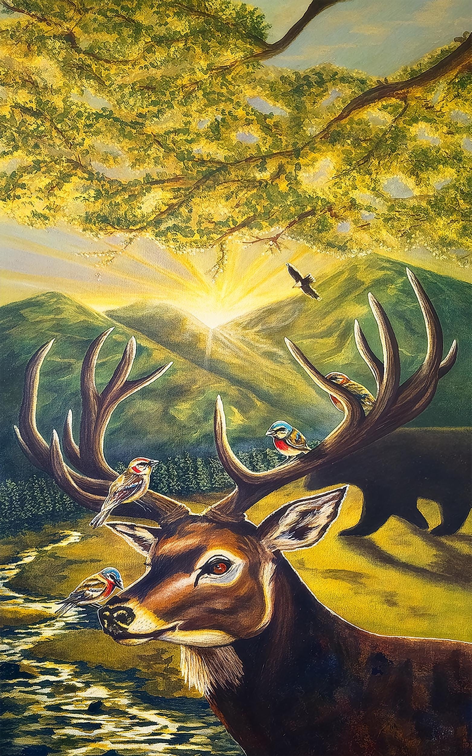 Where the Wild Meets light, view 3