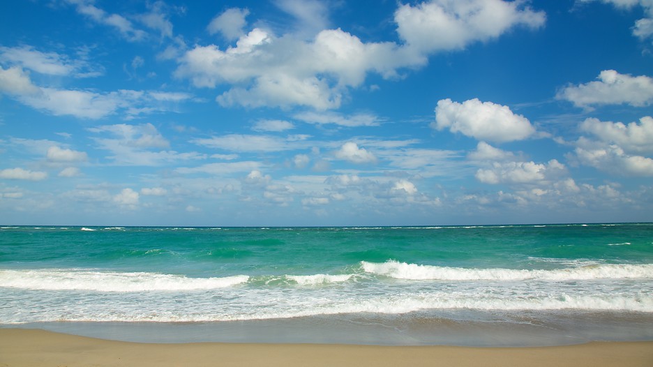 Sandy shoreline and clear water at Jupiter Beach