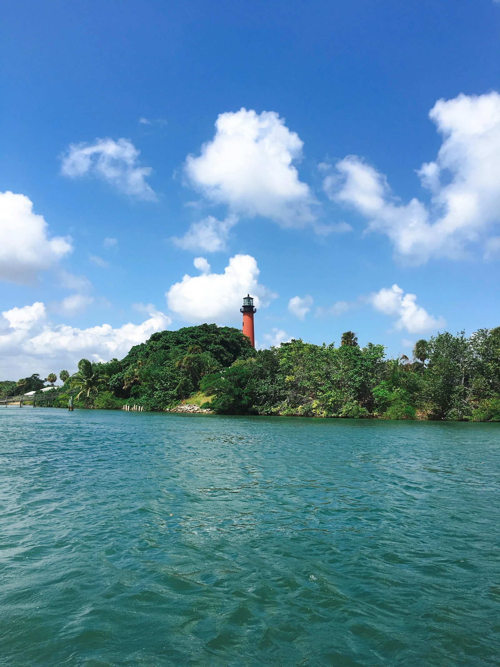 Jupiter Inlet Lighthouse above tropical shoreline