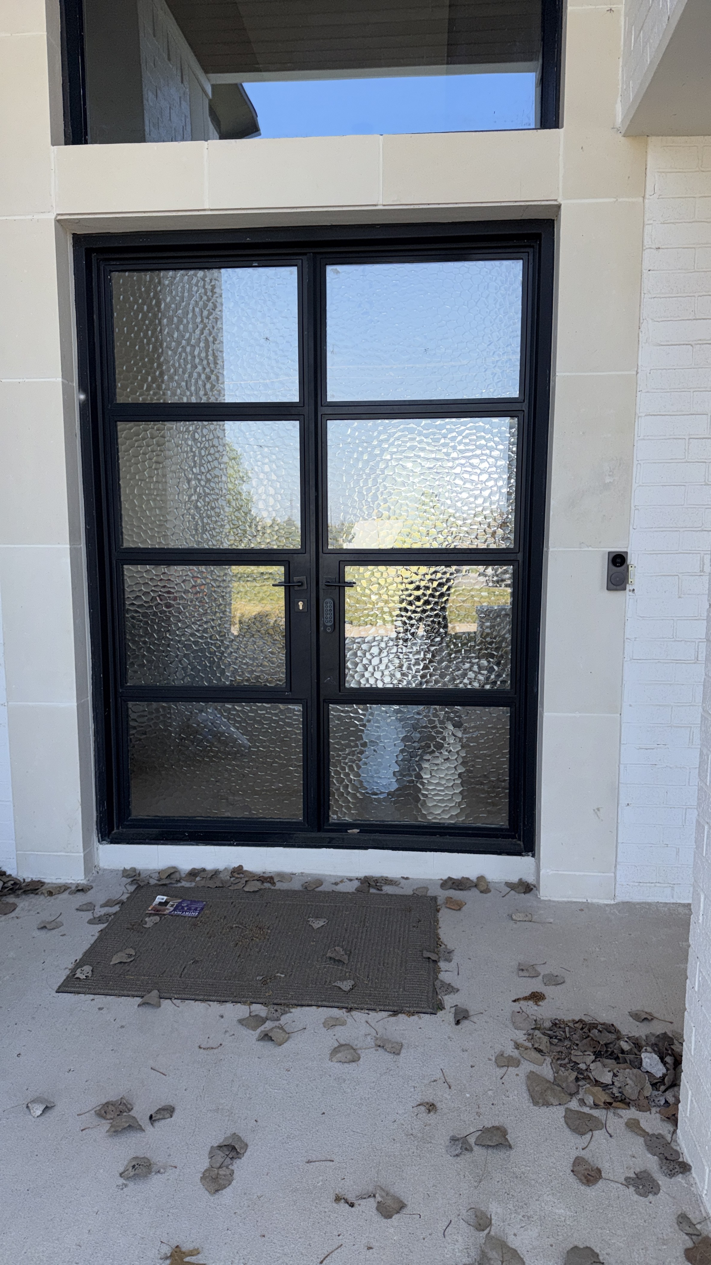 Black glass exterior door