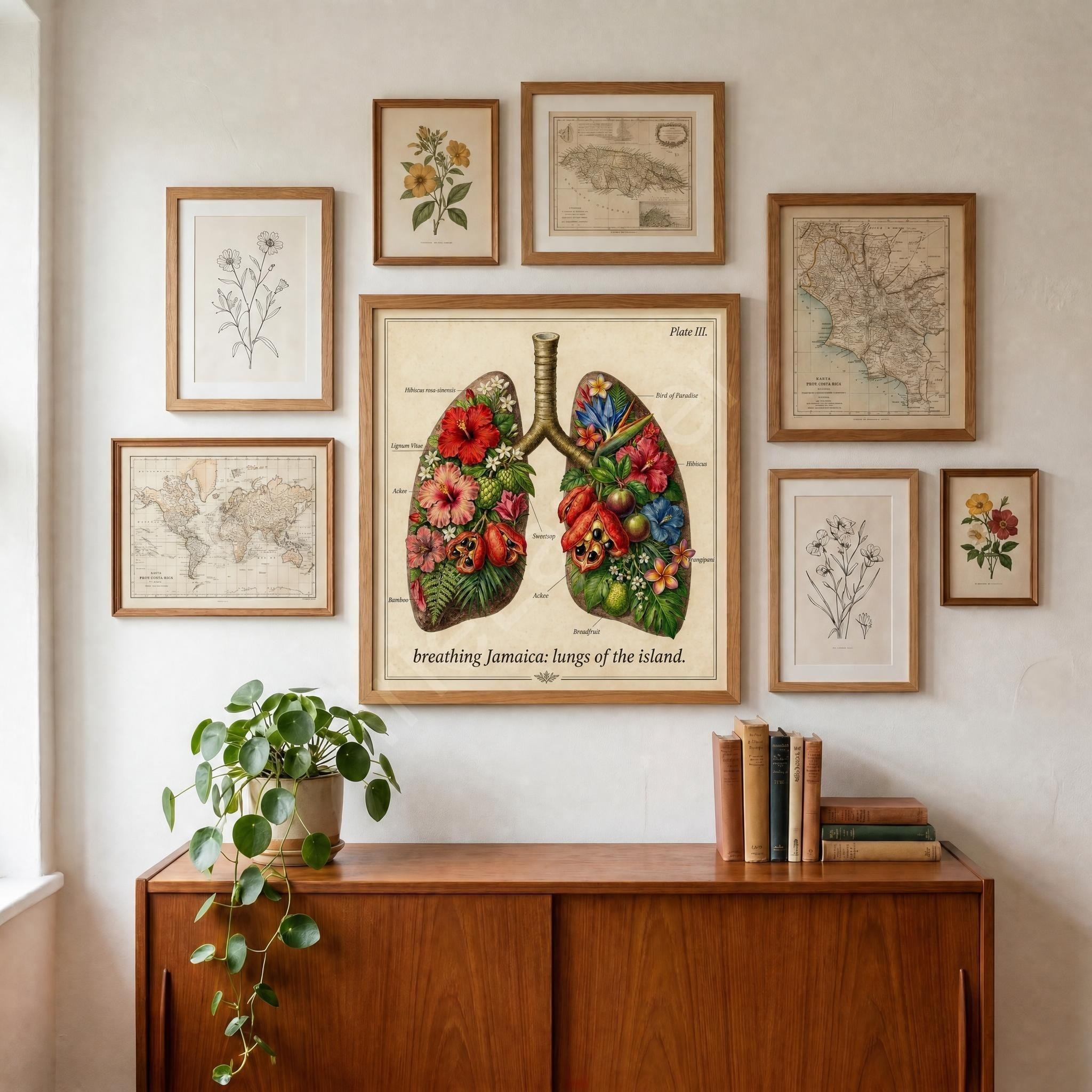 Anatomical Art, Jamaica Heart Print, style floral illustration, Jamaica wall decor, view 6