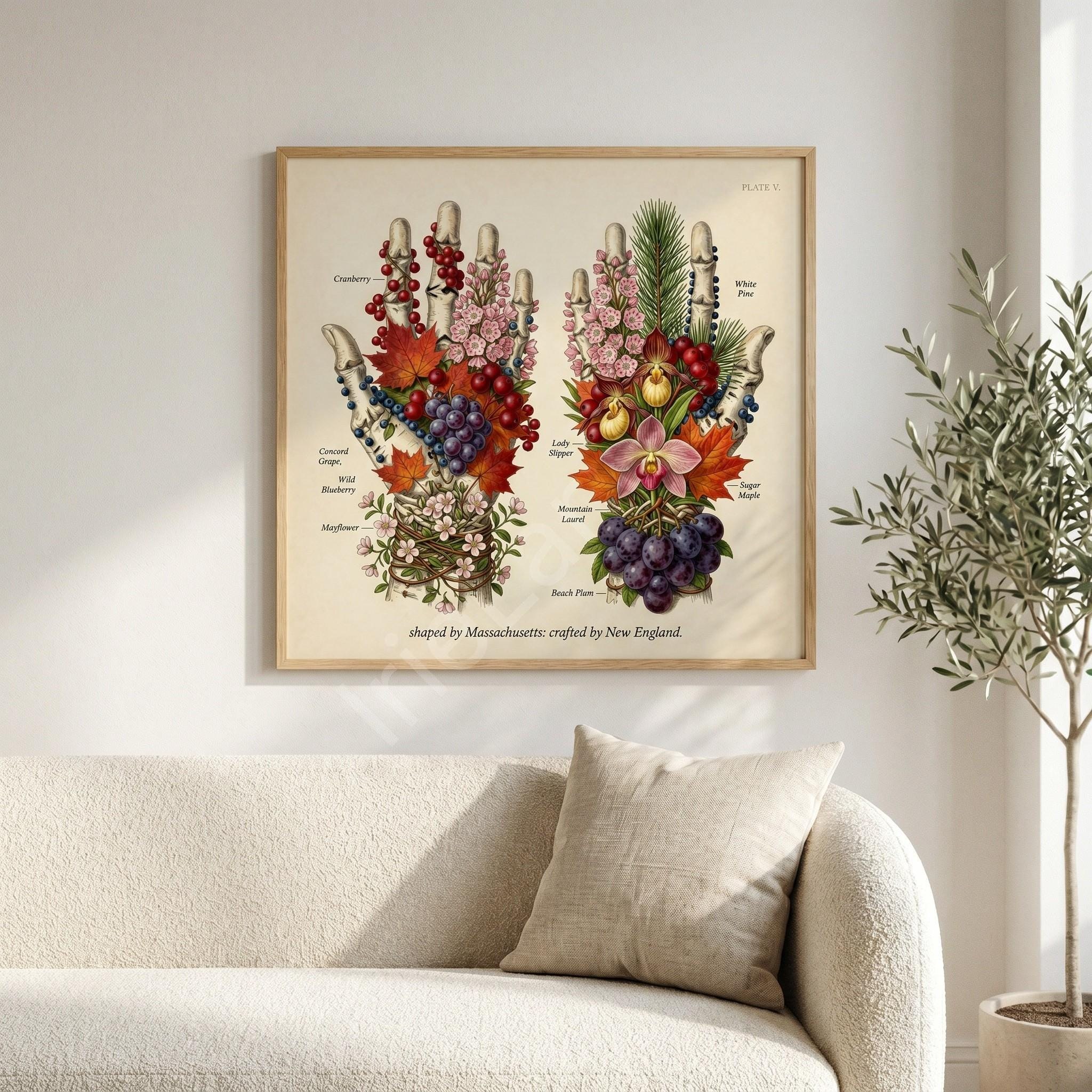 Anatomical Art, Massachusetts Art Print, style floral illustration, New England wall decor, view 12