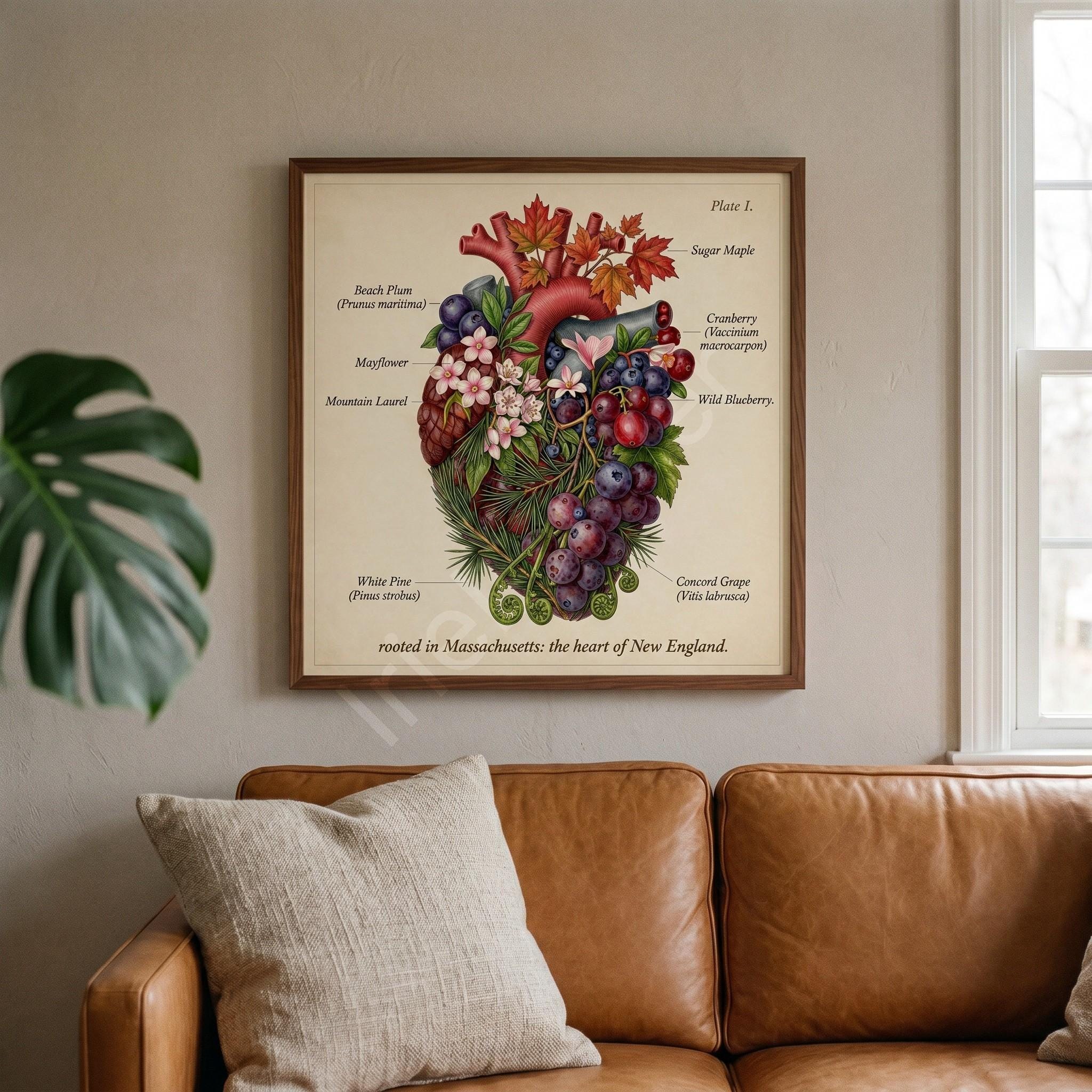 Anatomical Art, Massachusetts Art Print, style floral illustration, New England wall decor, view 3