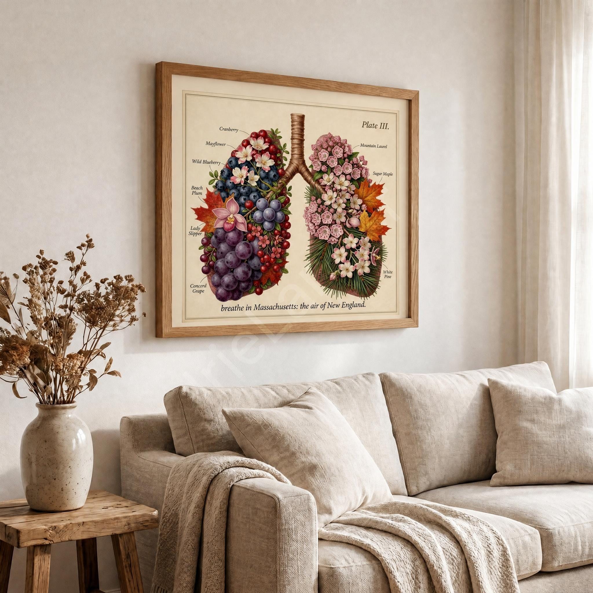 Anatomical Art, Massachusetts Art Print, style floral illustration, New England wall decor, view 7