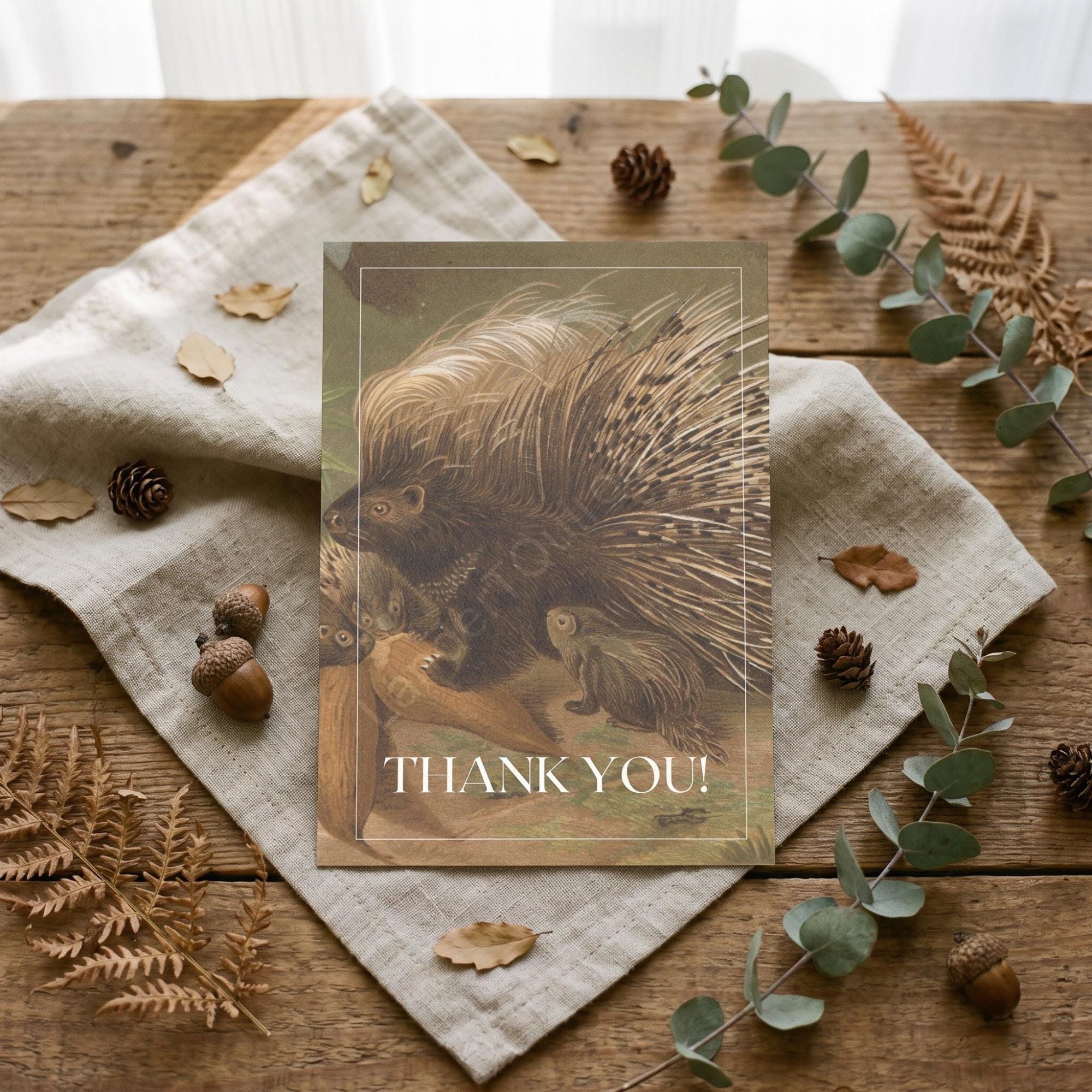 Woodland Porcupine Baby Shower Invitation Bundle: PRINTED, archival designs + wax seals, hand-lettering + stamps optional, view 6