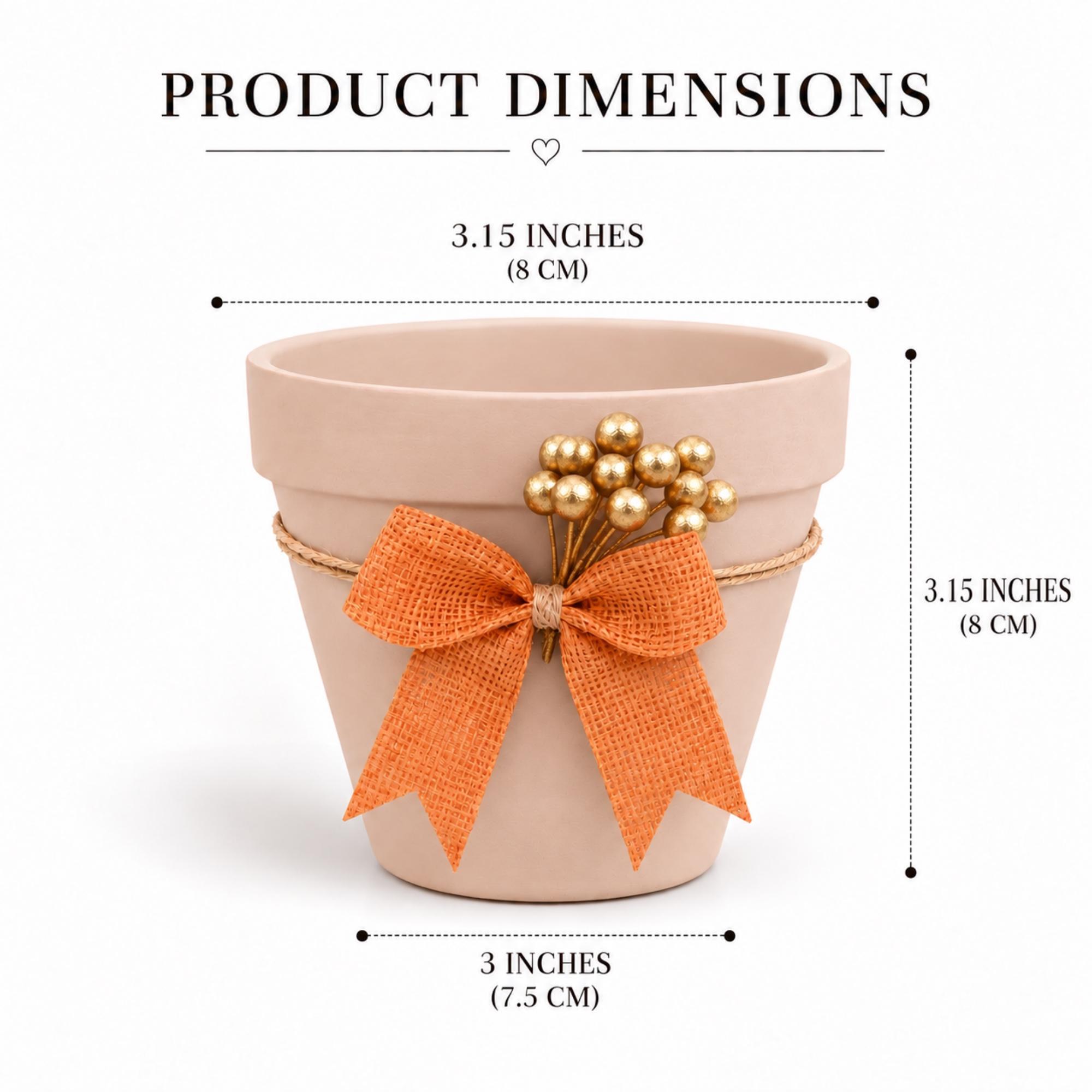 Personalized Pumpkin Seed Party Favors, Heirloom Pumpkin Seeds, Terracotta Pot Planting Kit, view 4