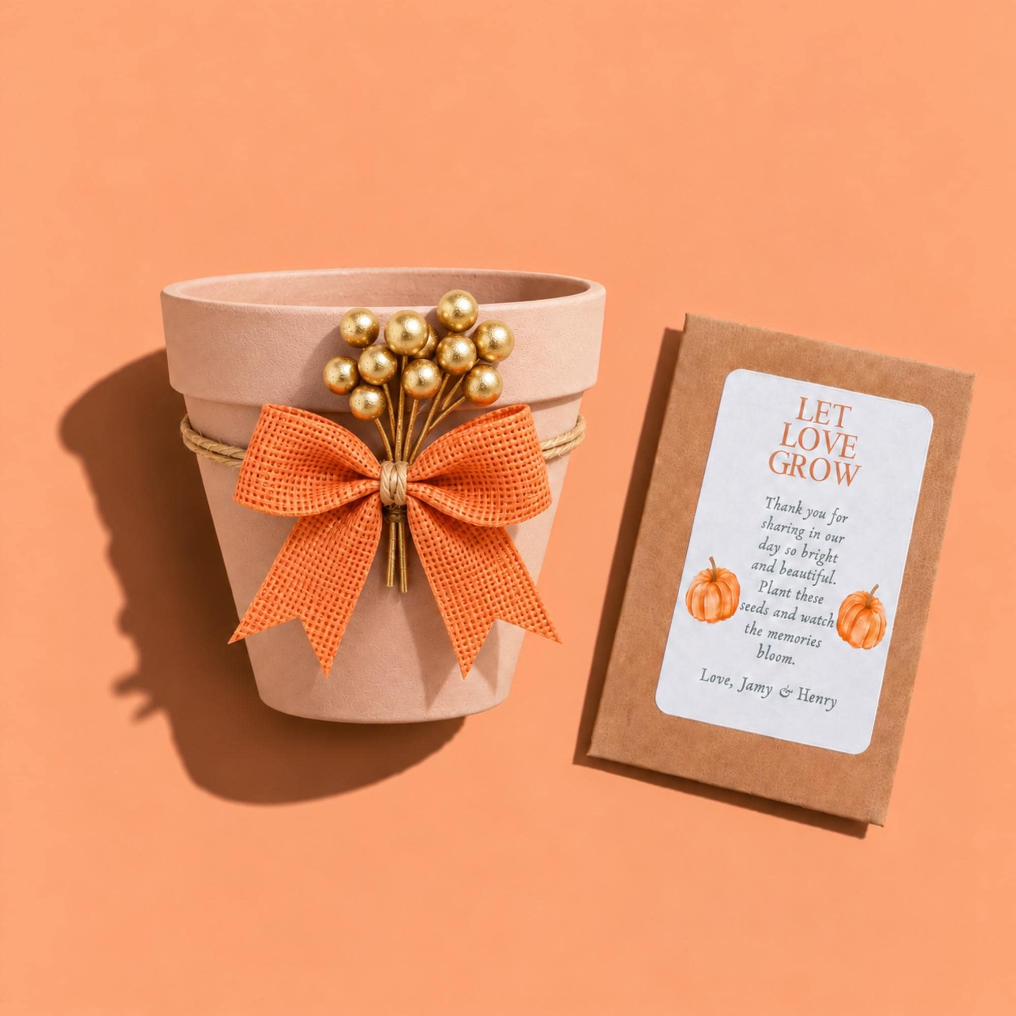 Personalized Pumpkin Seed Party Favors, Heirloom Pumpkin Seeds, Terracotta Pot Planting Kit, view 5