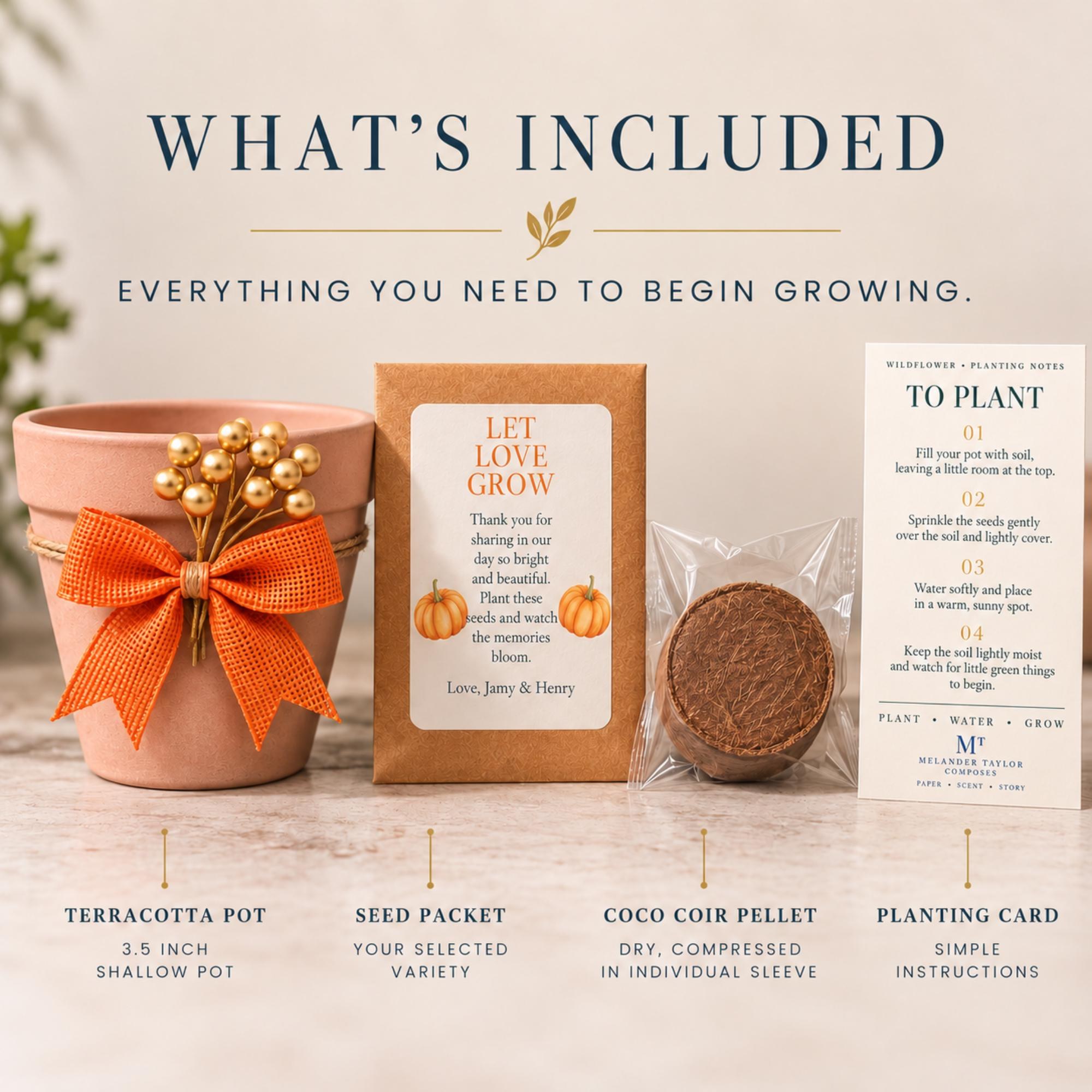 Personalized Pumpkin Seed Party Favors, Heirloom Pumpkin Seeds, Terracotta Pot Planting Kit, view 6