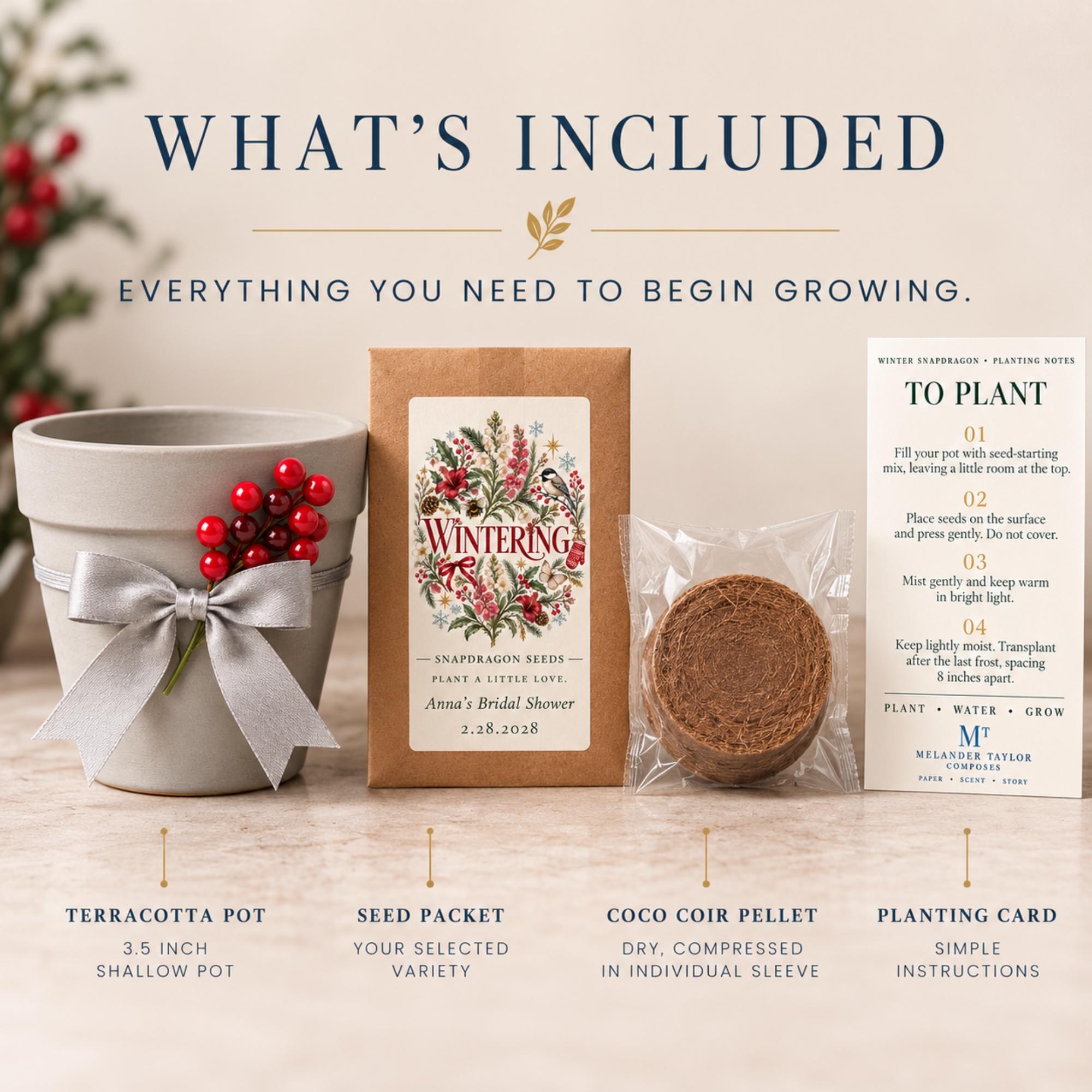 Personalized Winter Snapdragon Seed Favors, Baby Snapdragon Seeds, Terracotta Pot Planting Kit, view 8