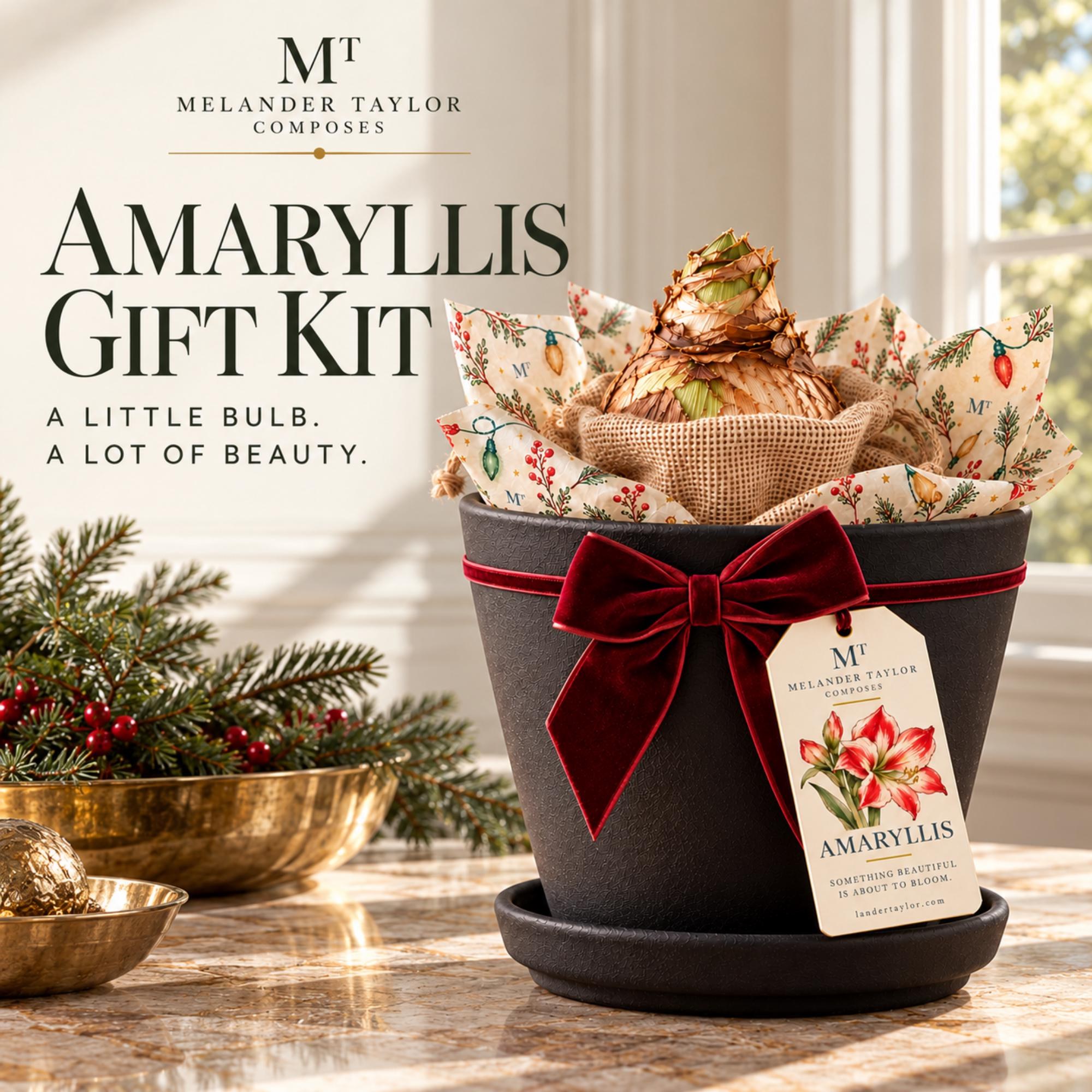 Amaryllis Bulb Gift Kit, Personalized Tag, Christmas Plant Gift, Holiday Hostess Gift, Indoor Flowers
