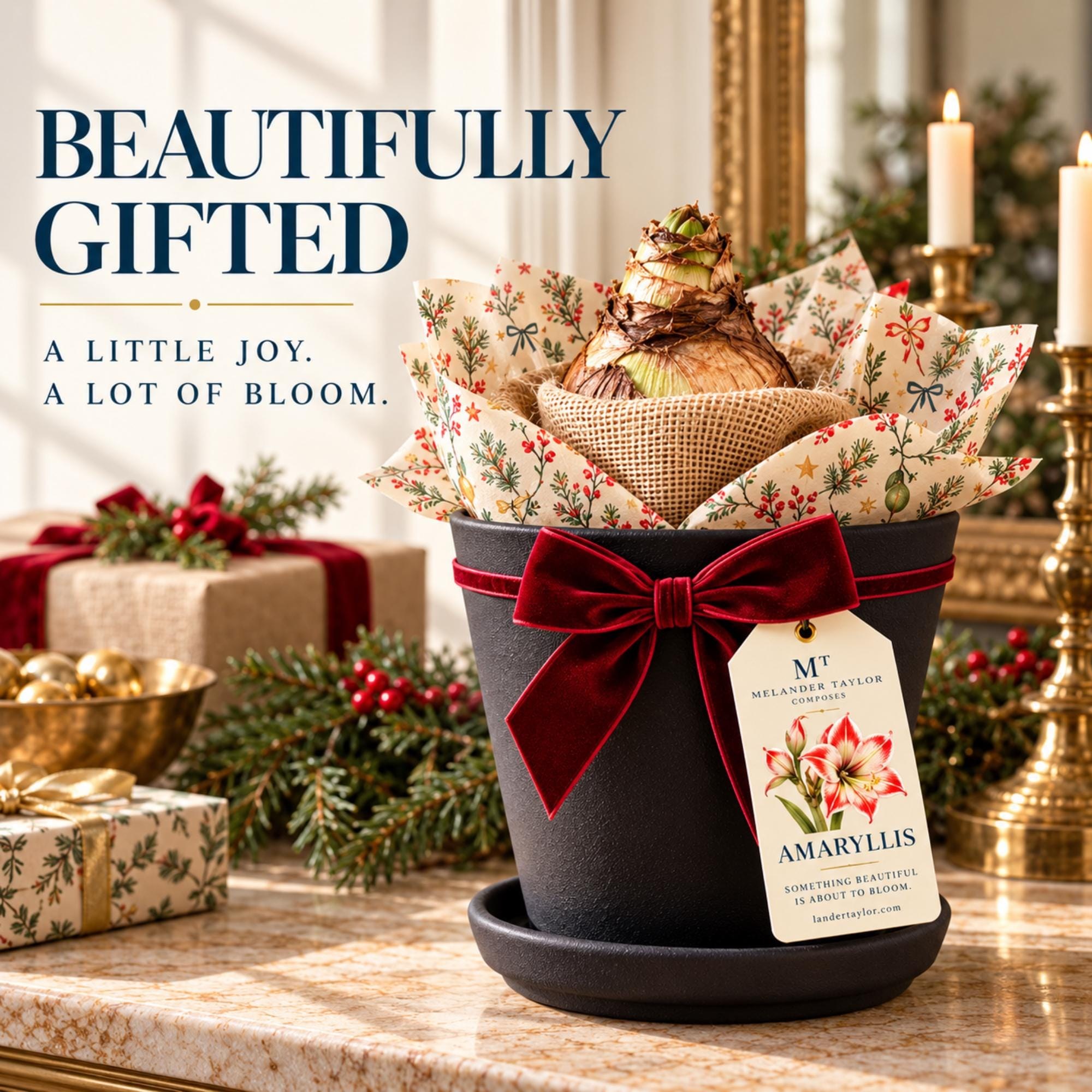 Amaryllis Bulb Gift Kit, Personalized Tag, Christmas Plant Gift, Holiday Hostess Gift, Indoor Flowers, view 8