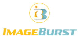 ImageBurst logo