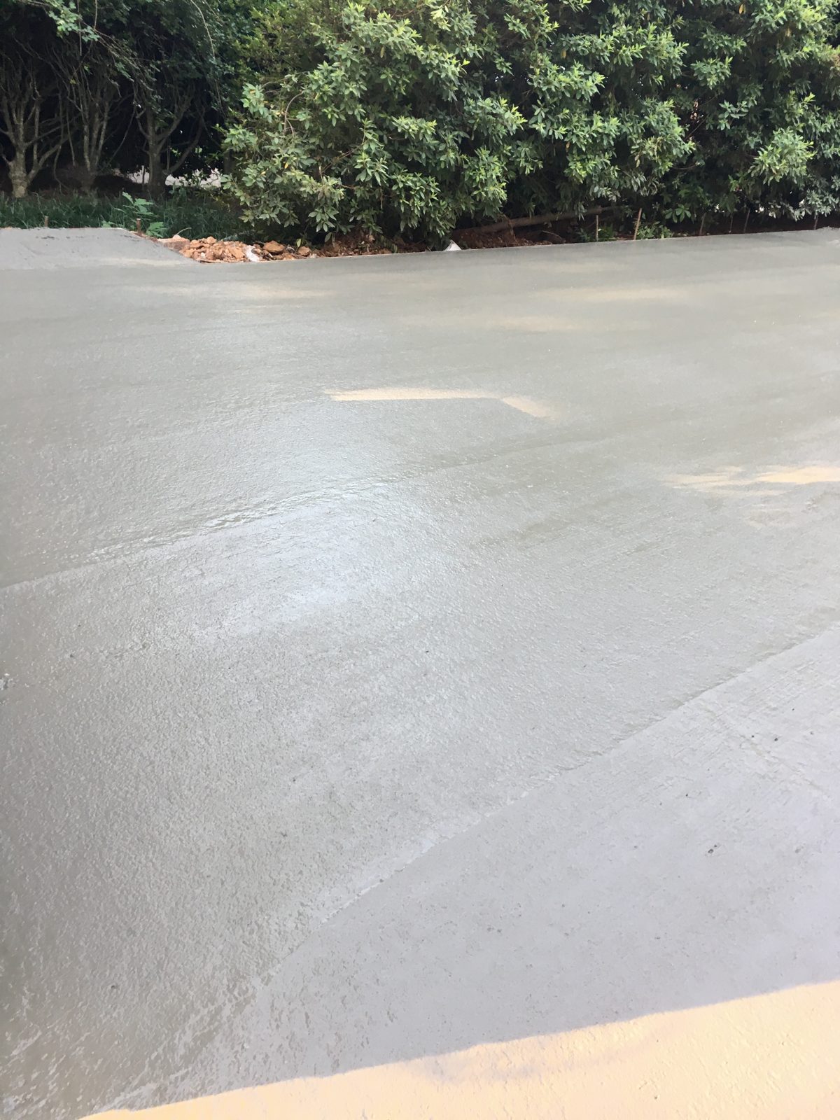 Freshly finished concrete driveway bordered by mature trees
