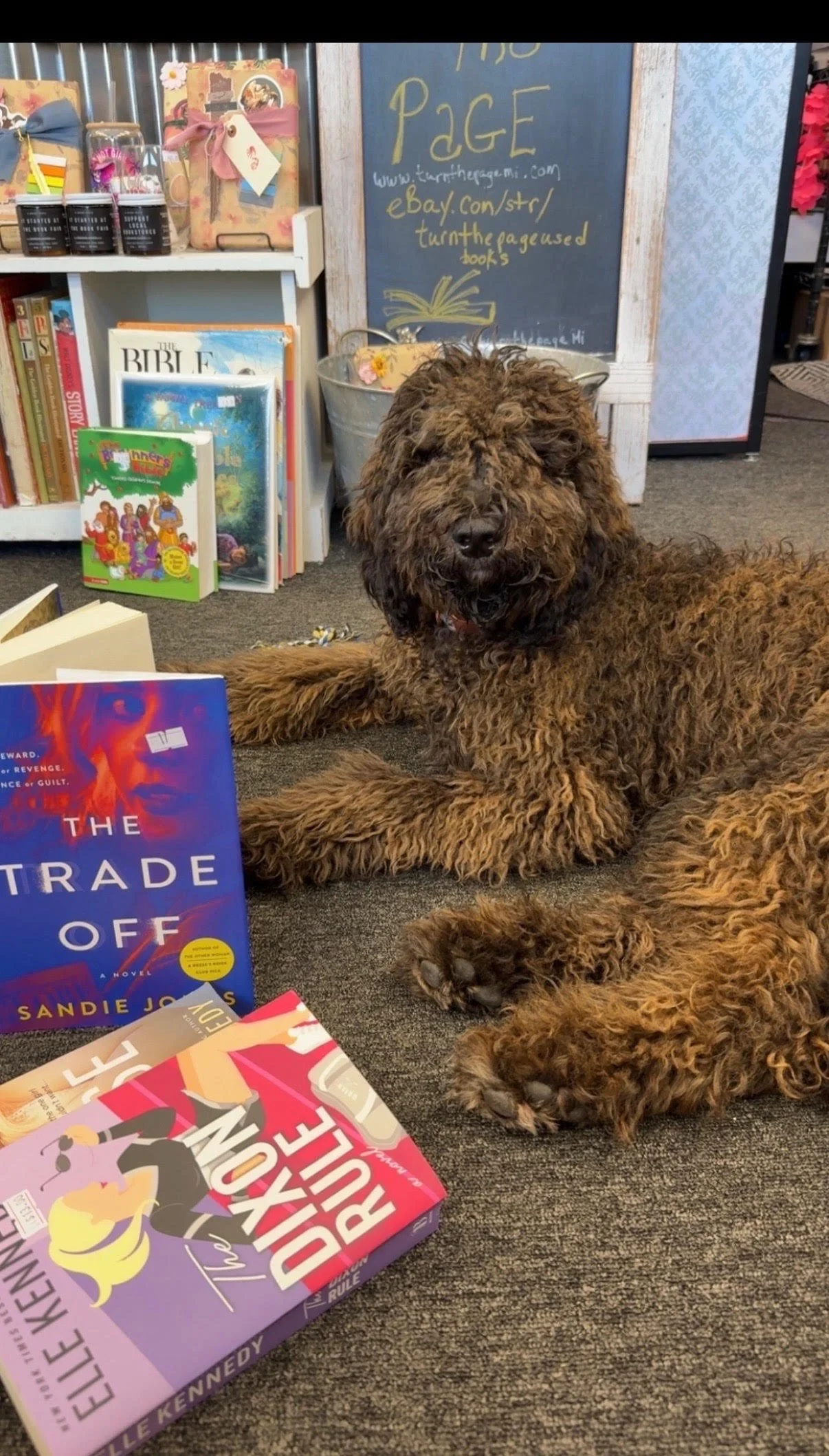 Indie, the Turn the Page Books store doodle