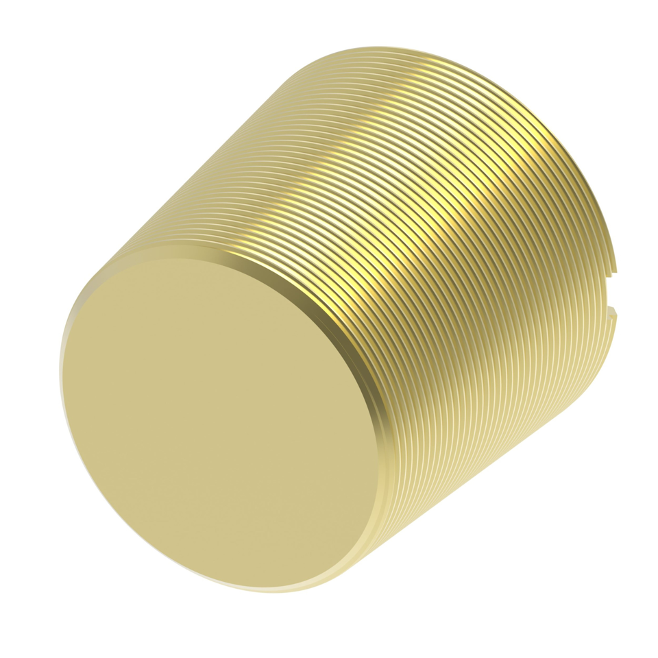 Brass pipe plug