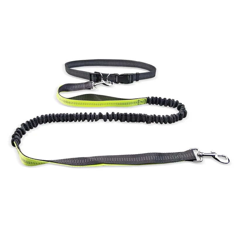 Dog Walking Belt with Detachable Shockproof Leash view 2