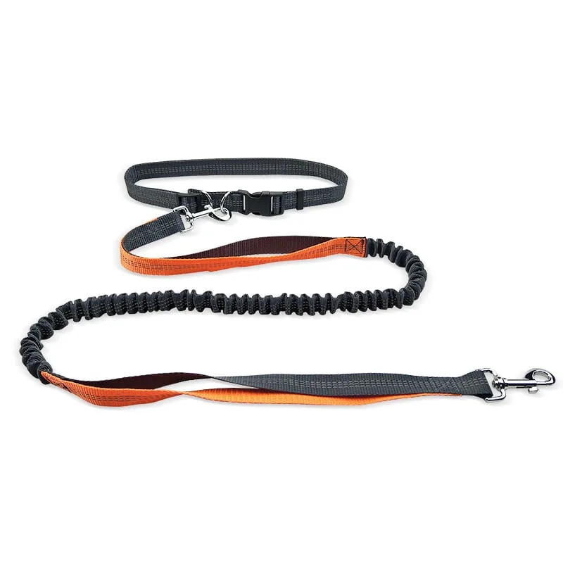 Dog Walking Belt with Detachable Shockproof Leash view 3