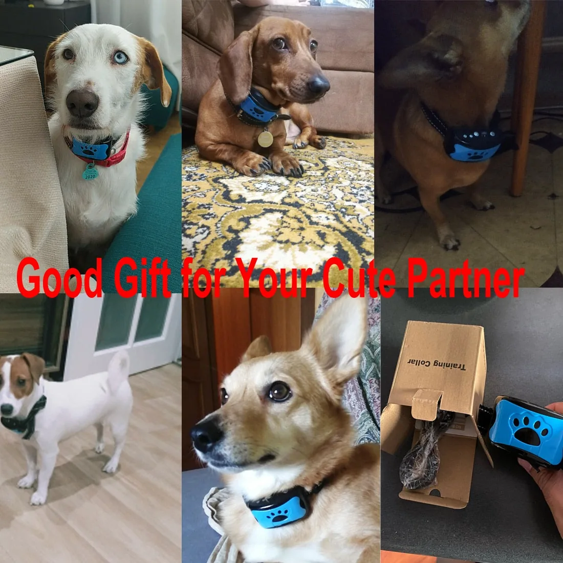 Ultrasonic Anti-Bark Dog Training Collar view 2