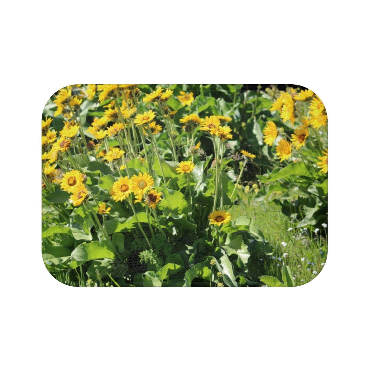Yellow Arnica Bath Mat, Floral Bathroom Decor, Nature Inspired Home, Botanical Floor Mat, Bright Flower Design, Modern Bathmat, Gift Idea
