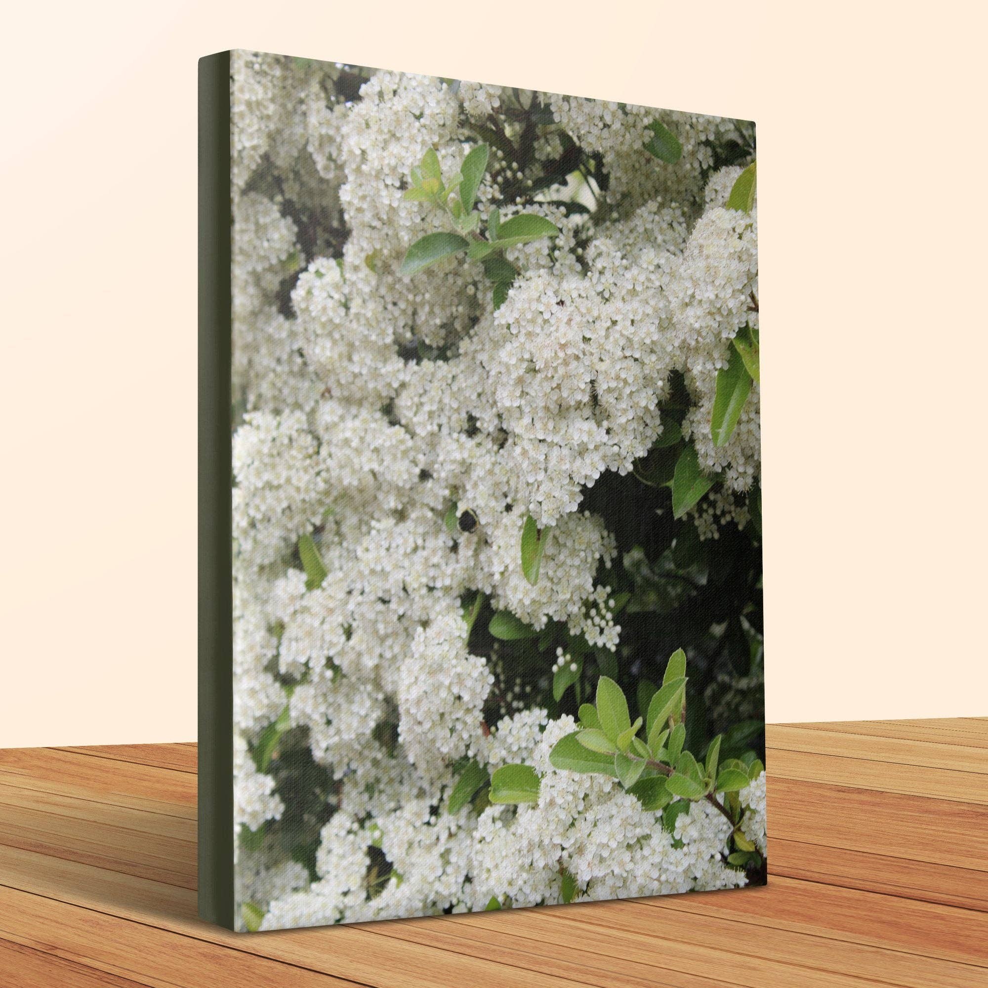 White Flowers Canvas Wrap, Floral Wall Art, Flower Photography, Garden Decor, Botanical Print, Nature Lover Gift,Editable Canvas