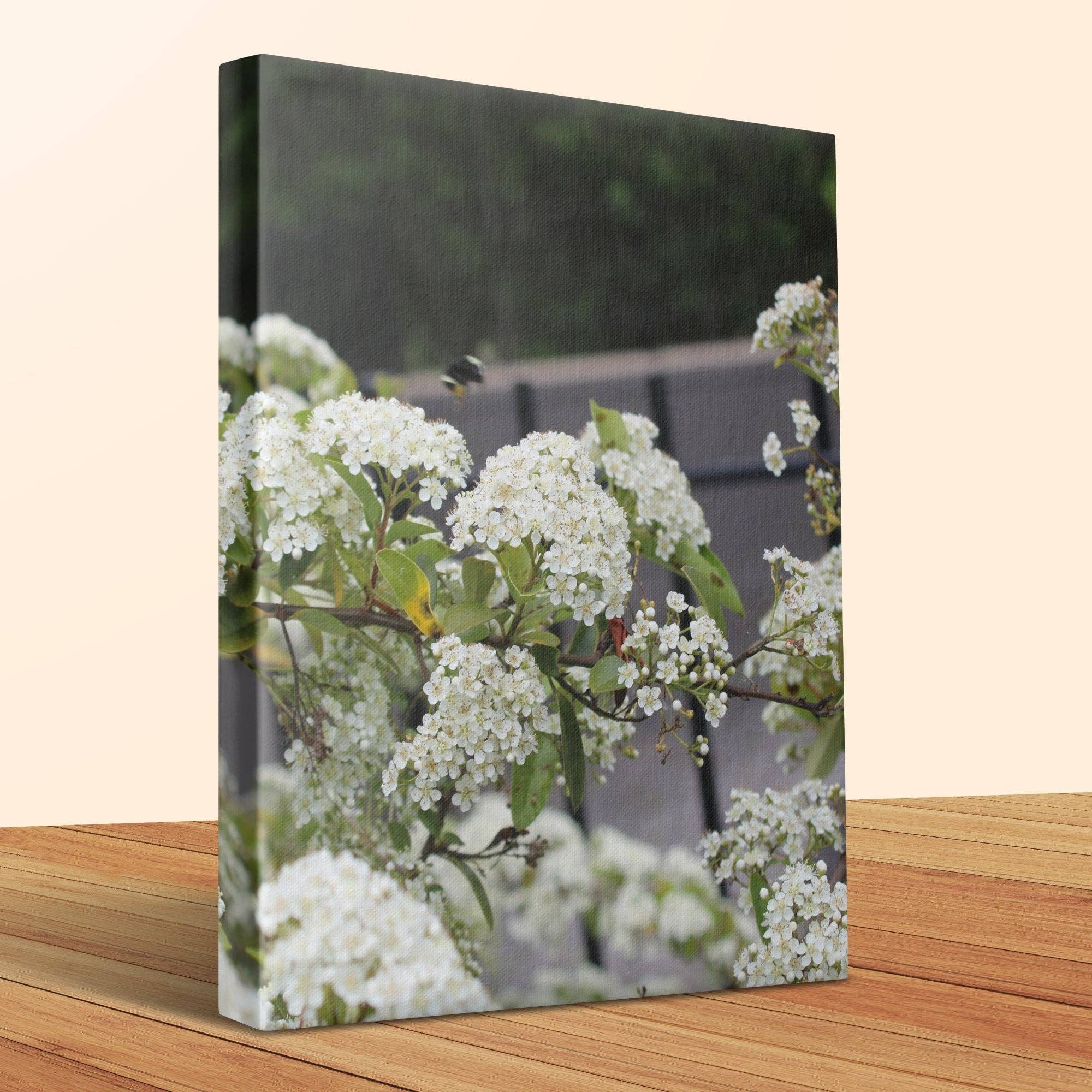 White Flowers Canvas Wrap, Floral Wall Art, Garden Decor, Home Decor, Customizable Canvas Print, Nature Photography, Flower Canvas Art