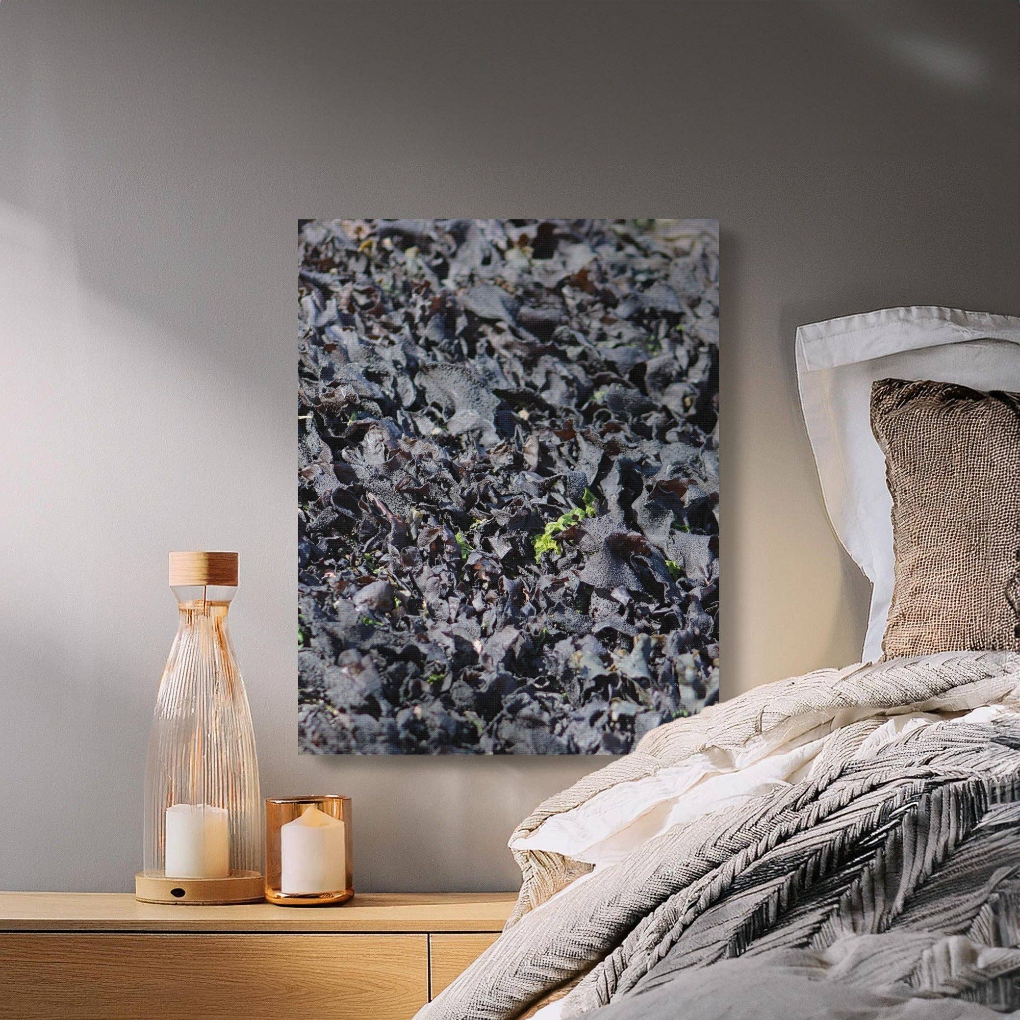 Purple Laver Canvas Wrap, Seaweed Wall Art, Coastal Decor, Ocean Plant Canvas, Beach Home Decor, Editable Name, Coastal Photography