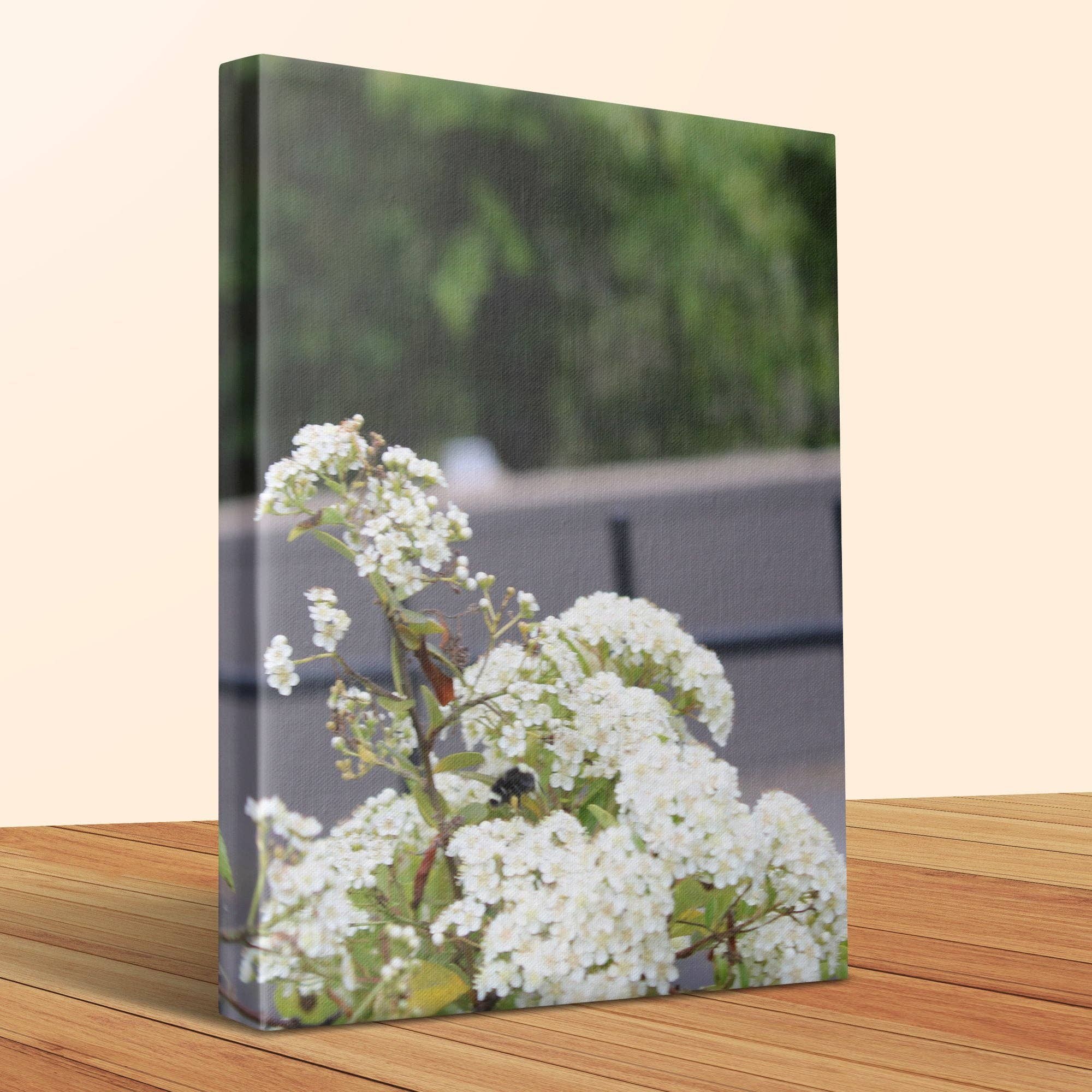 White Pyracantha Flowers, Editable Canvas Wrap, Floral Botanical Art, Nature Photography Gift, Flower Lover Home Decor, Spring