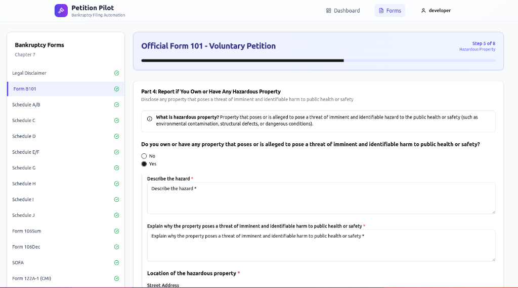 Petition Pilot form workflow with financial information fields
