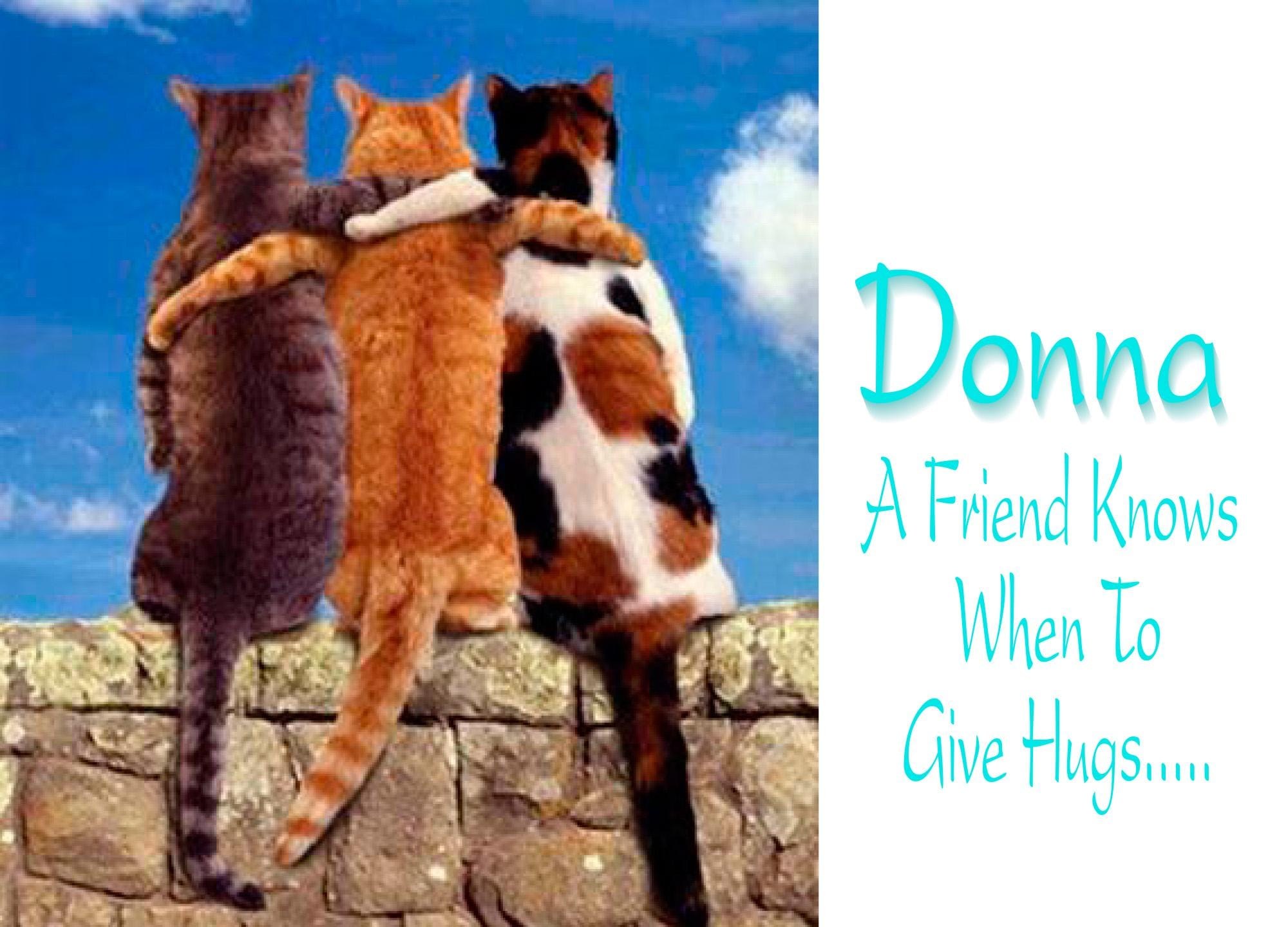Cats Hugging Encouragement Card, Handmade Custom Greeting