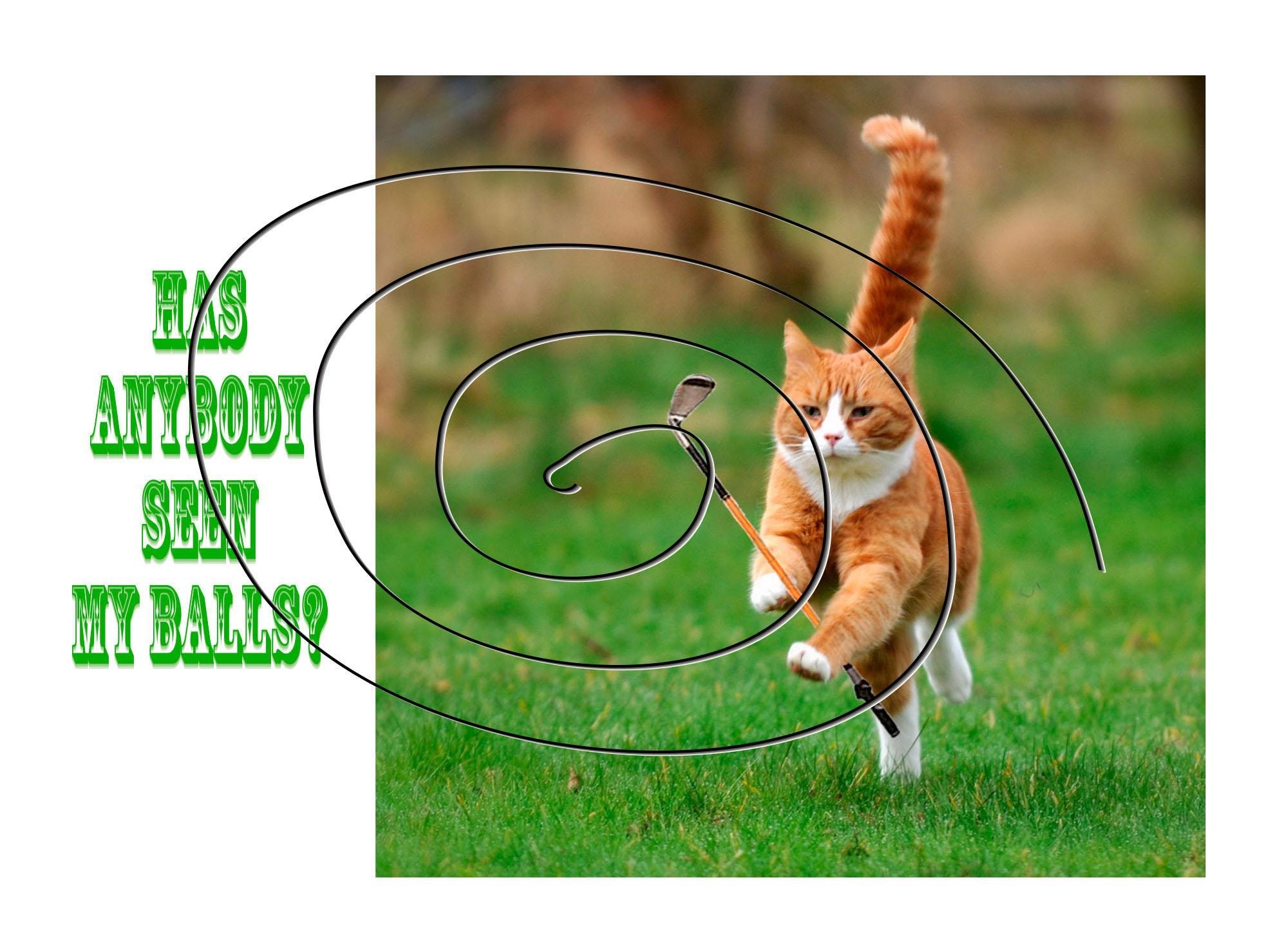 Funny Birthday Card for Golf Lovers - 'Anyone Seen My Balls?' Custom Design