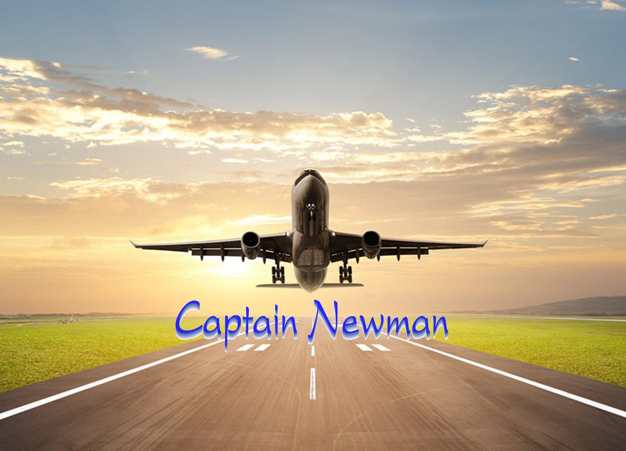 I'm a Pilot: I Can't Fix Stupid, But I Can Fly It Far Away