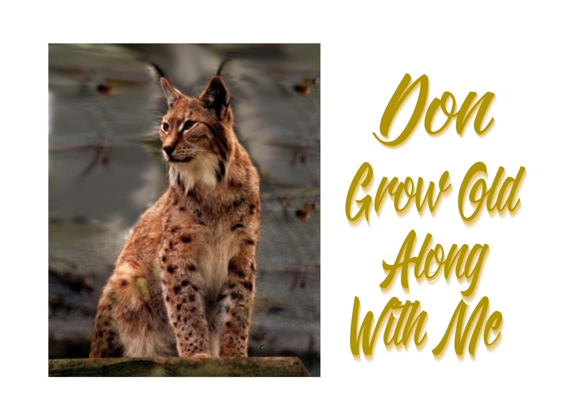 Sentimental Birthday Card – Grow Old Alongside Me Quote