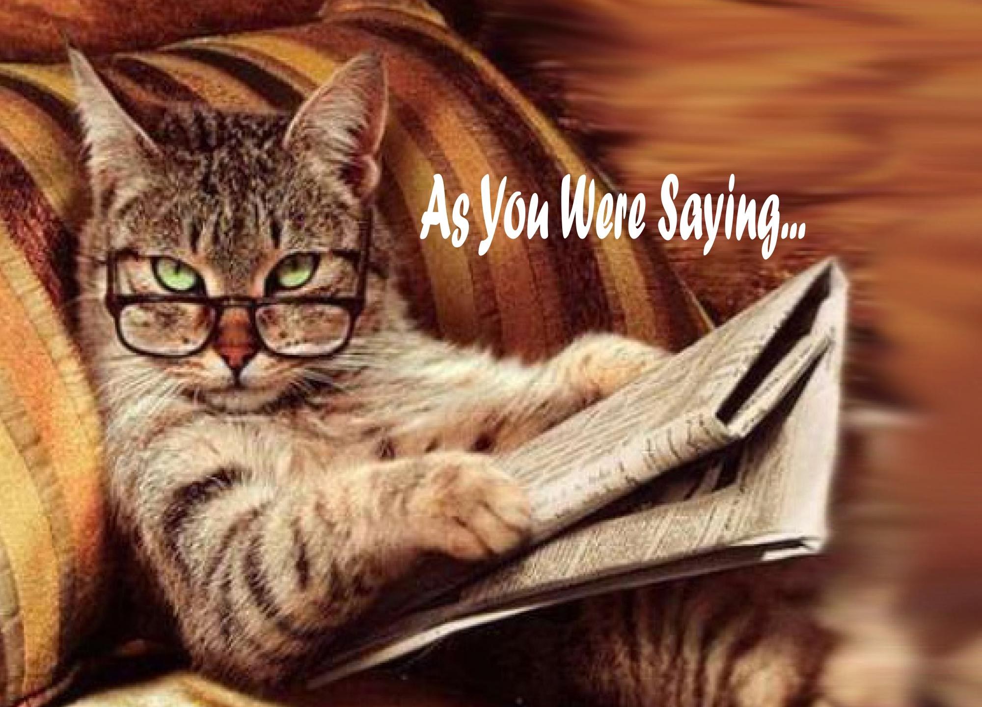 Cat Reading Newspaper Card - ‘As You Were Saying’ Blank Inside for Messages