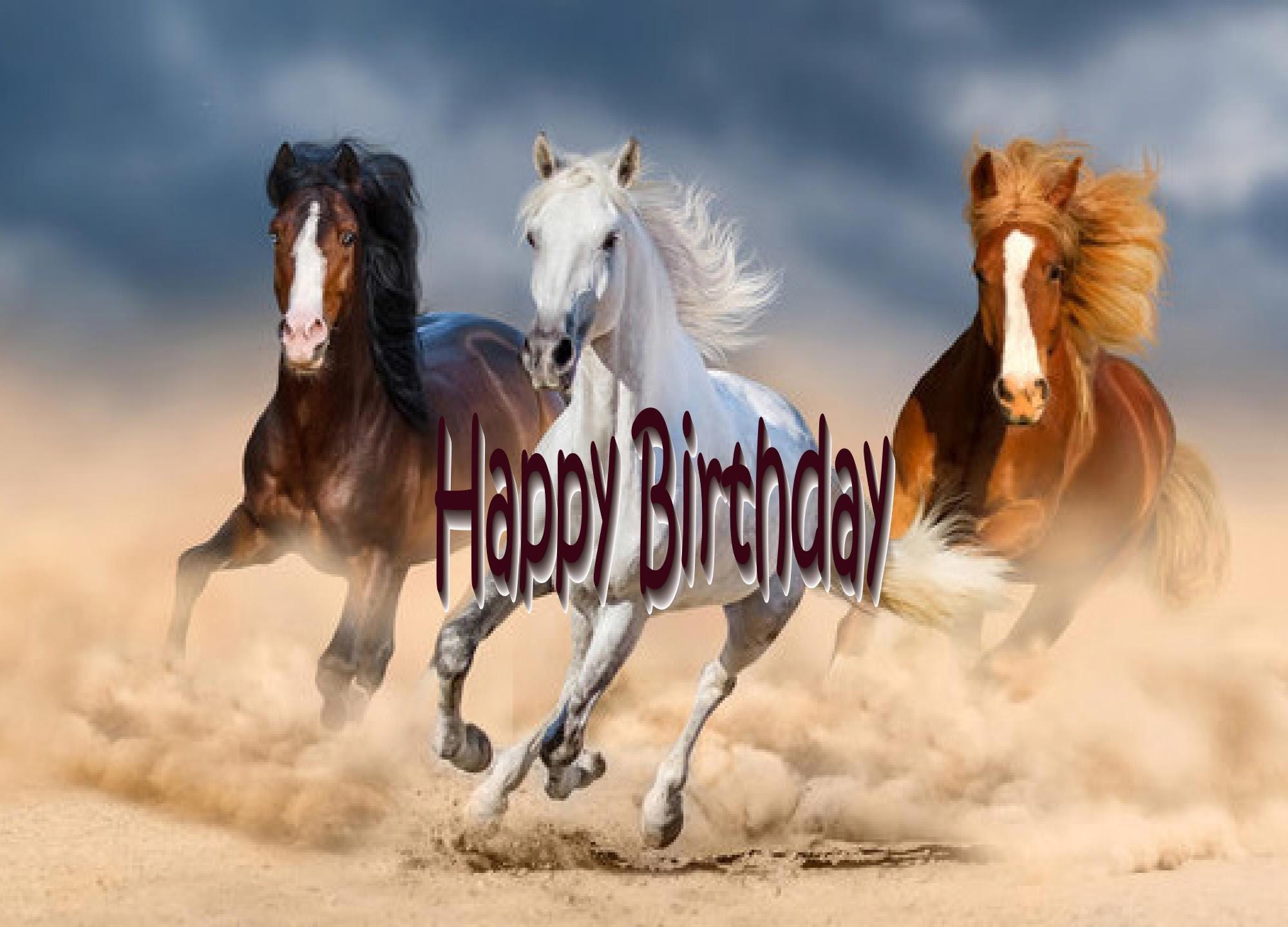 Celebrate Her Birthday: Women & Horses Love Card