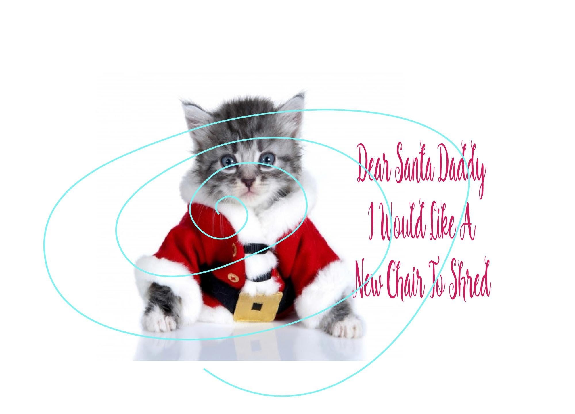Cat Christmas Card – Santa Outfit, Shredding Chair Wishes, Cat Lover Greeting