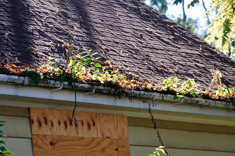 What Makes Micro Mesh Gutter Guards a Smart Investment