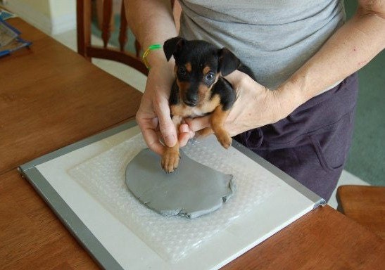 Personalized Ceramic Dog Paw Print Ornament – Custom Pet Keepsake, Small-Medium Dog, view 10