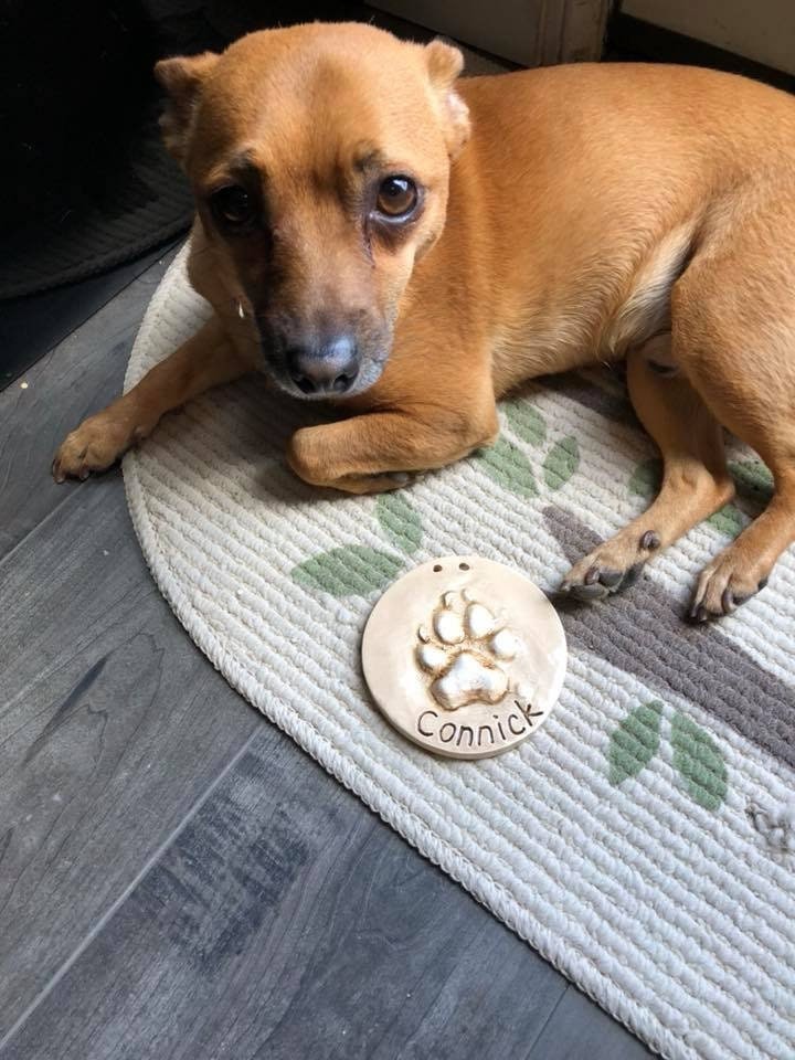 Personalized Ceramic Dog Paw Print Ornament – Custom Pet Keepsake, Small-Medium Dog, view 7