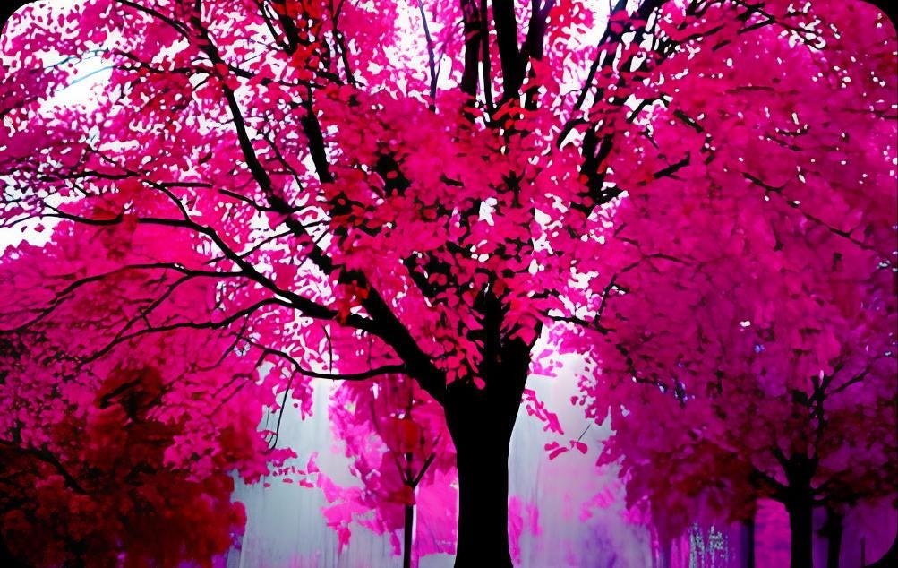 Pink Cherry Blossom Credit Card Skin, Sakura Floral Vinyl Decal (3.37" x 2.13"), view 4