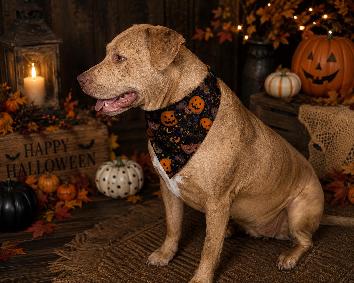 Halloween Pumpkin Clip On Pet Bandana Spooky Jack-O Lantern Collar Accessory, product view 3