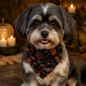 Halloween Pumpkin Clip On Pet Bandana Spooky Jack-O Lantern Collar Accessory, product view 4