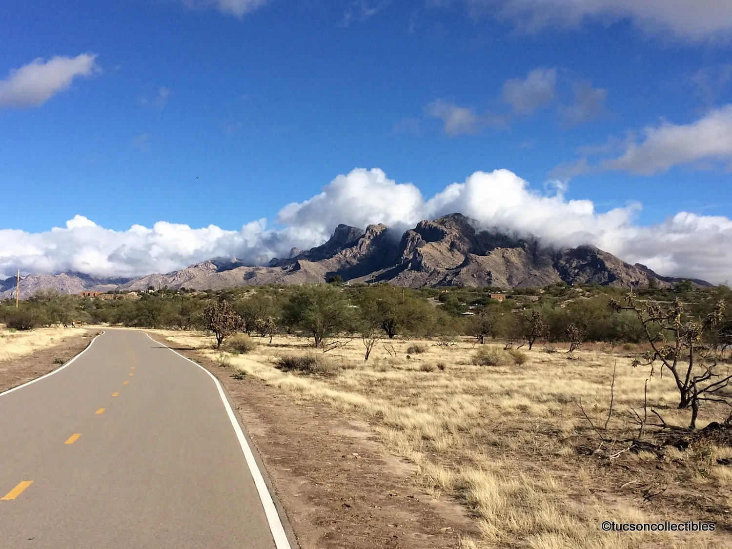 It’s A Great Day In Tucson, Arizona