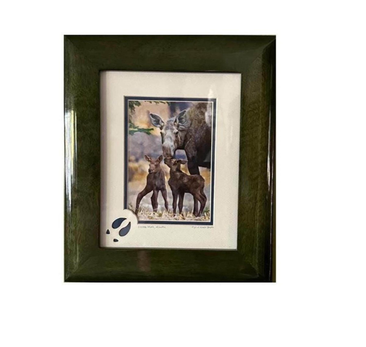 Alaska Moose Photo Print: Rustic Cabin Wall Art, 10x13 Print