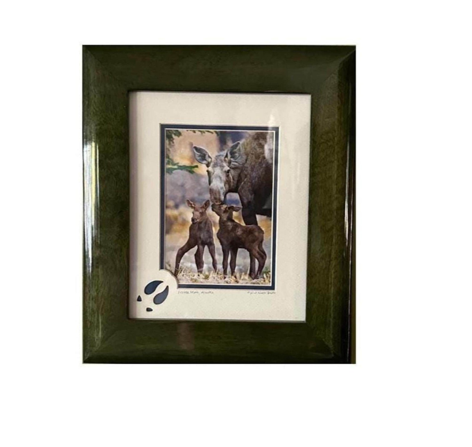 Alaska Moose Photo Print: Rustic Cabin Wall Art, 10x13 Print