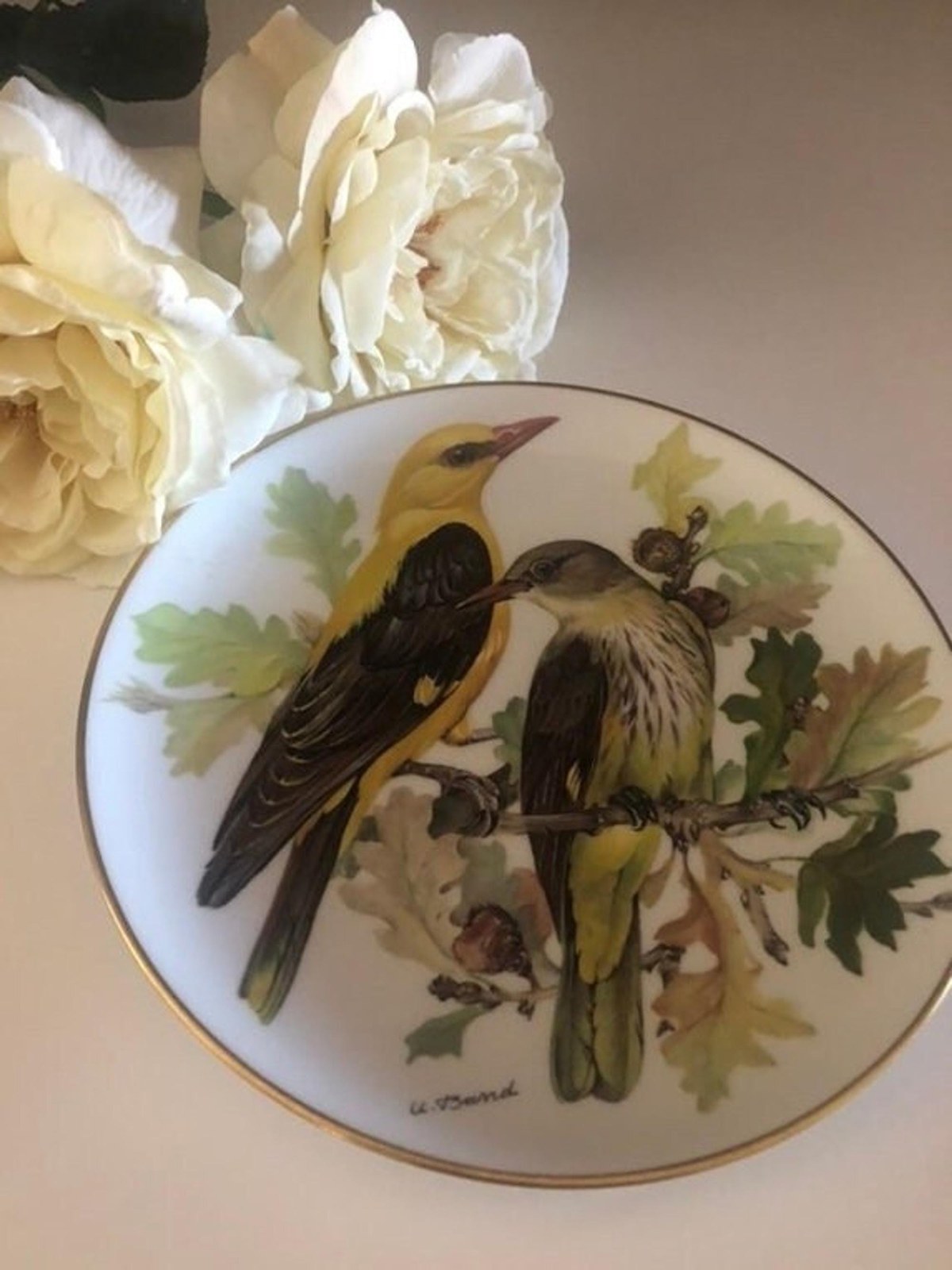 Baltimore Orioles BIrd Porcelain Wall Plate World Wildlife Decor
