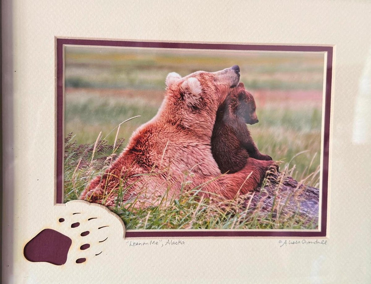 Bear Themed Decor | Wildlife Photography Bear Cub Print | Alaska Nature Wall Art