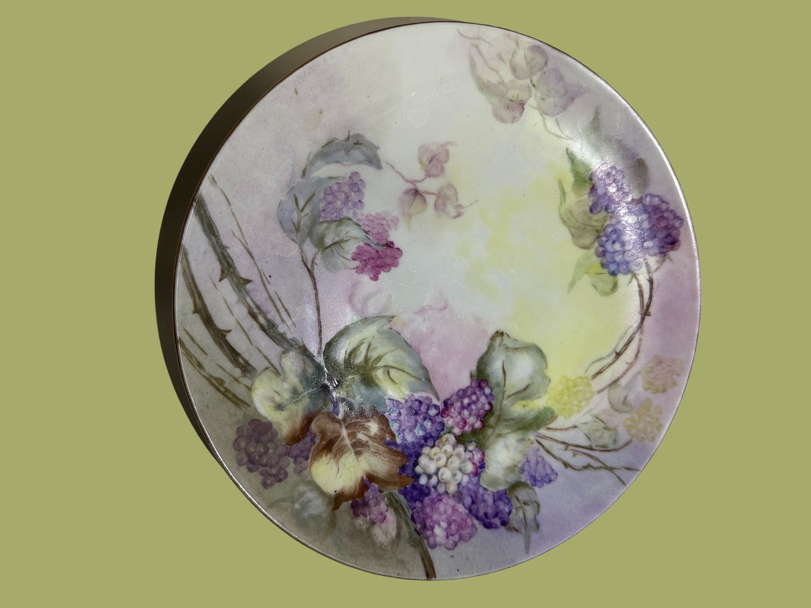 Retro Ceramic Botanical Decor Plate, Hand Painted Wall Art