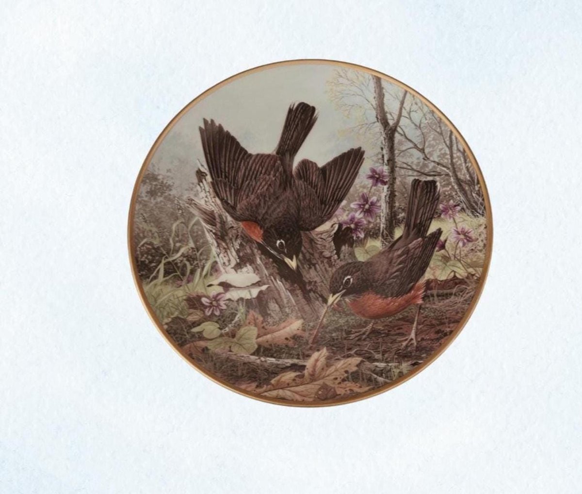 Robin Nature Scene | Hunting For Food | Porcelain Bird Wall Decor | A. J. Rudisill