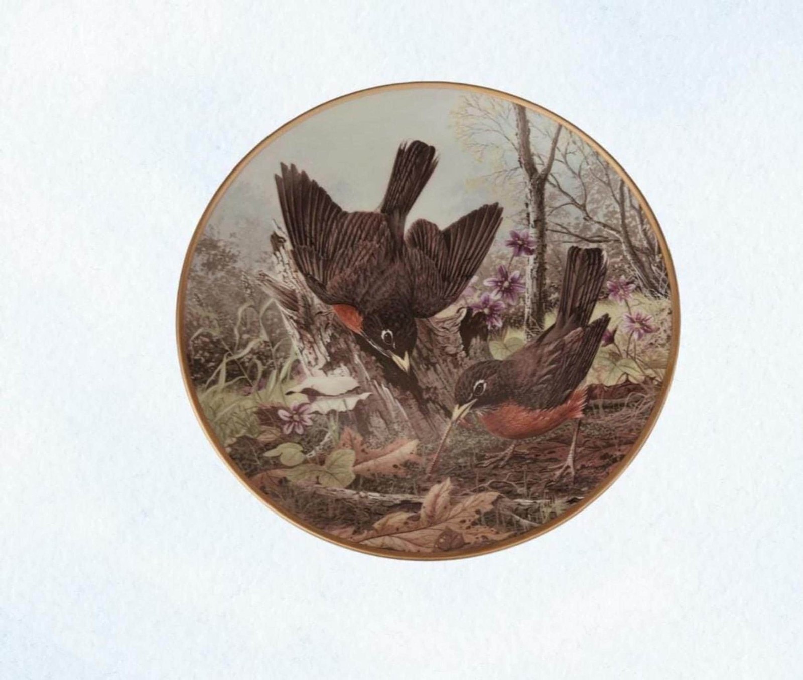 Robin Nature Scene | Hunting For Food | Porcelain Bird Wall Decor | A. J. Rudisill